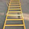 Cage Ladder