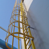 Cage Ladder