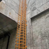Cage Ladder